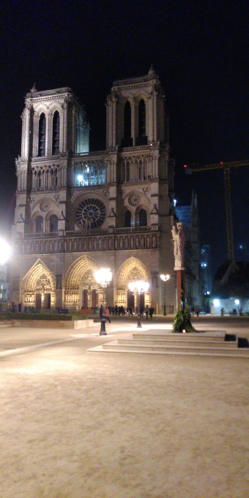 Notre Dame cathedral at night