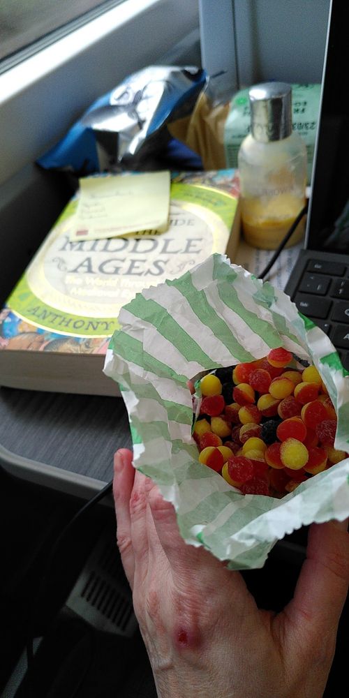 Book, train sweets from Pickering station sweet shop (mixed pips - yum) in case the train gets hungry