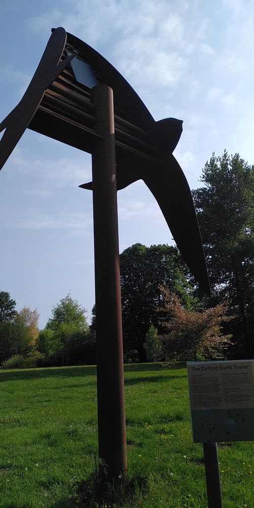 Swallow sculpture in the University Park, Oxford. Iron cast swallow, home to 150 nesting places.