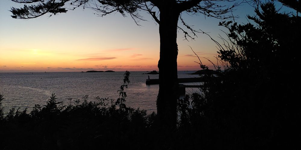 St Malo at sunset. Sea, lit with oranges of the last traces of sunset, standing in a cliff with some cliffside plants, home to bats and cicadas.