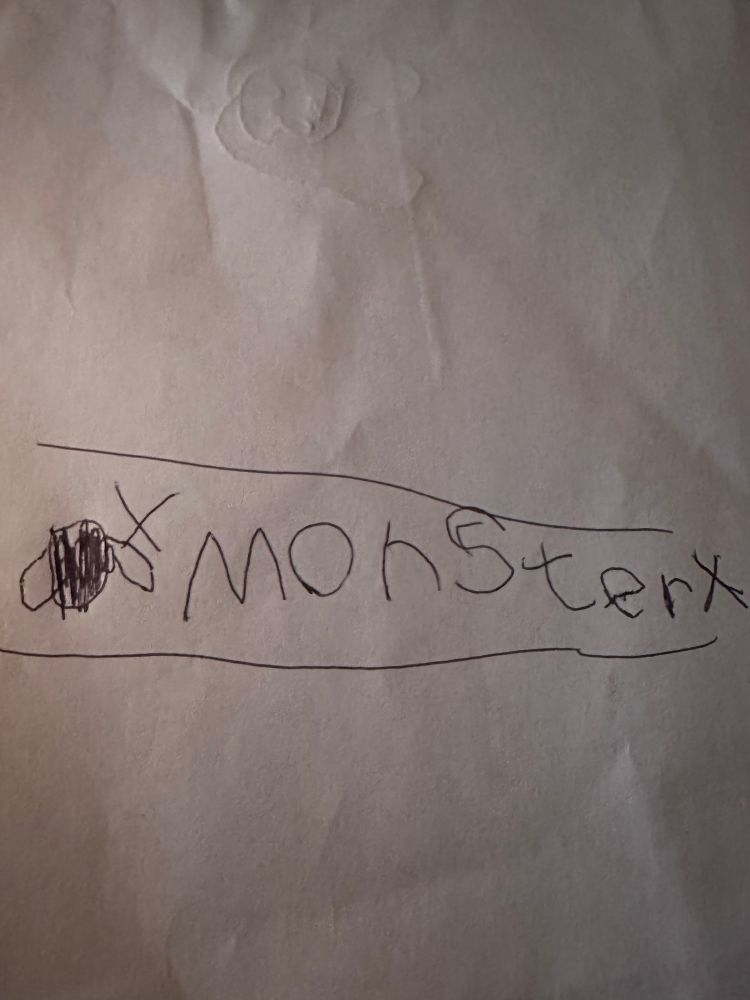 In Kinderschrift steht geschrieben: Fliegen als Bild gemalt, X, Monster.
Also Fliegen sind keine Monster