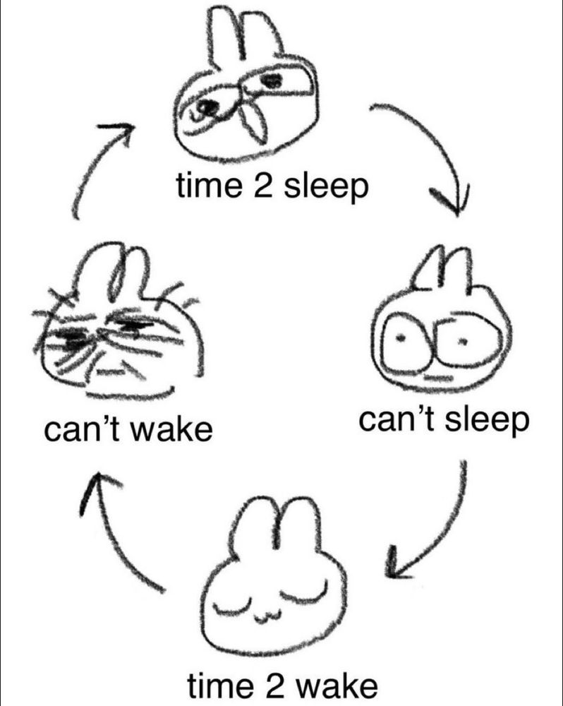 image depicting a cute bunny going thru cycles of struggling to sleep and wake when they should implying strained mental health 
the bunny’s expressions cycle as well, ranging from exhausted, manic, restless, and calm