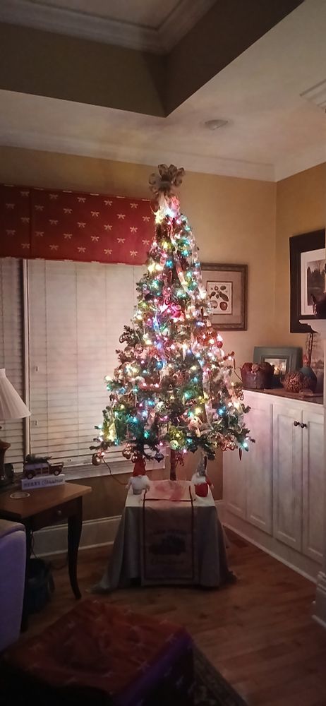 Decorated Xmas tree.