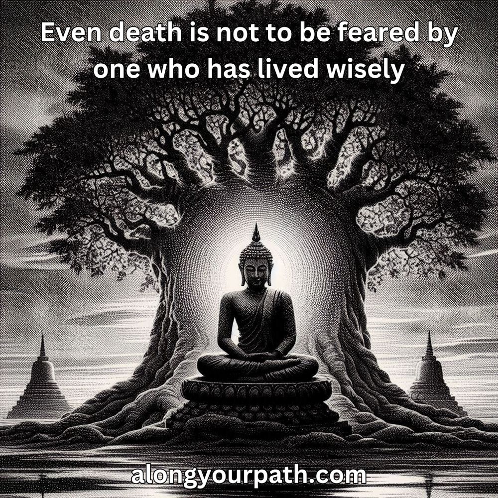 “Even death is not to be feared by one who has lived wisely.” Buddhist Teachings