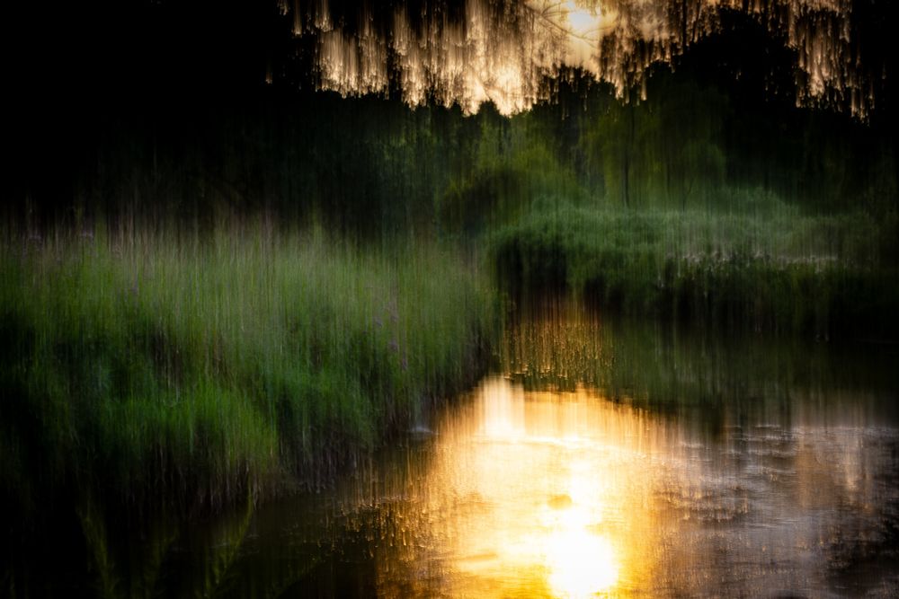 A picture of nothing that feels like a summer memory with sun water and green plants