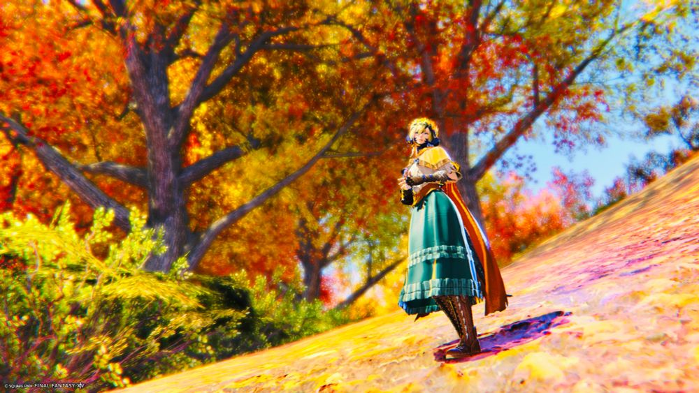 Aster at Mt. Rokkon.
Alt text なんかめんどくさくなってきたわ別に読まれるわけないし書き放題かも笑笑