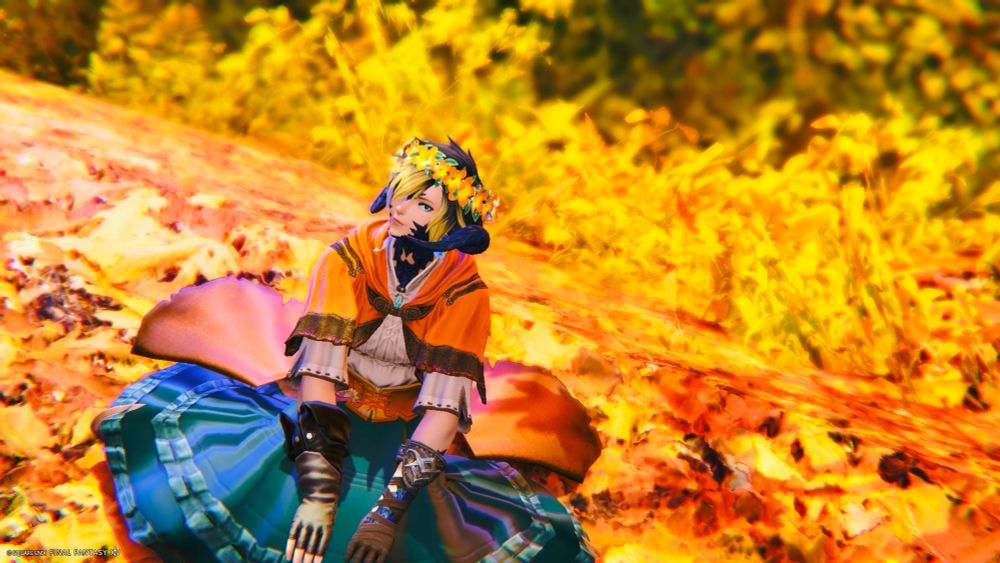 Aster in Mt. Rokkon. 