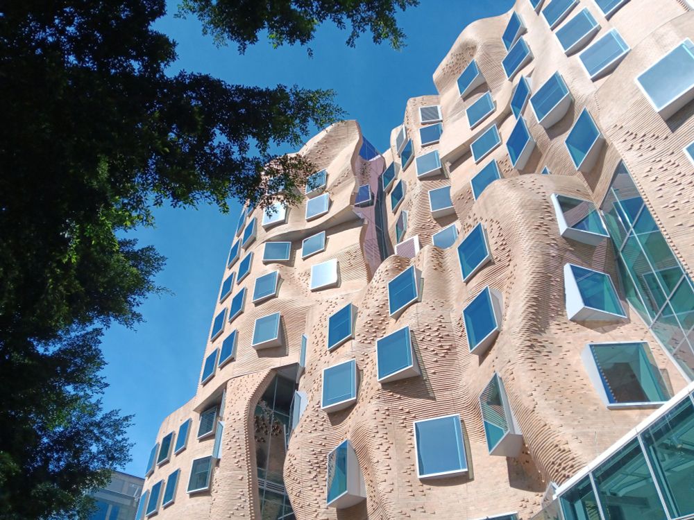 A yellow brick building which looks like it is a crumbled bag. Curved bricks and square windows. Framed by blue sky and tree leaves.