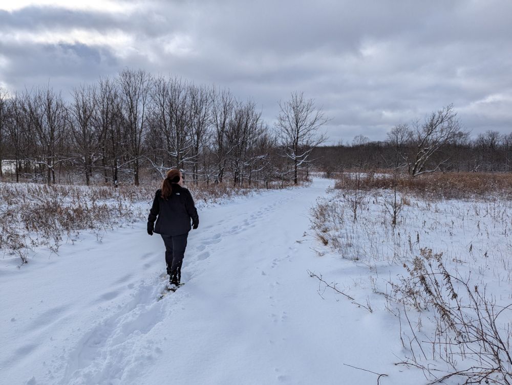 Emma snowshoeing ahead of me on a path towards some trees.
