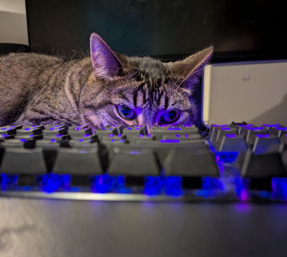 A tabby cat named Max laying on my desk with his eyes just above my keyboard. The purple light from the keyboard is shining on his adorbs face.