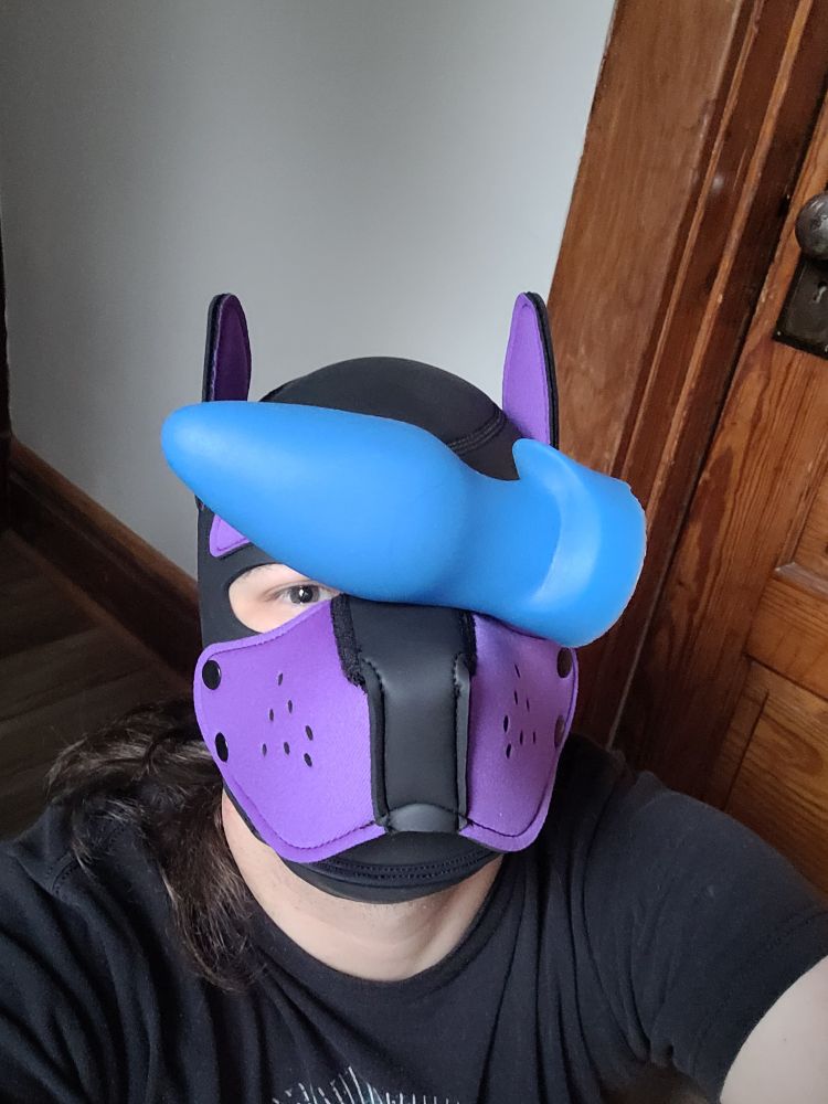 Blankey, while wearing a pup hood, balances a butt plug on their snout