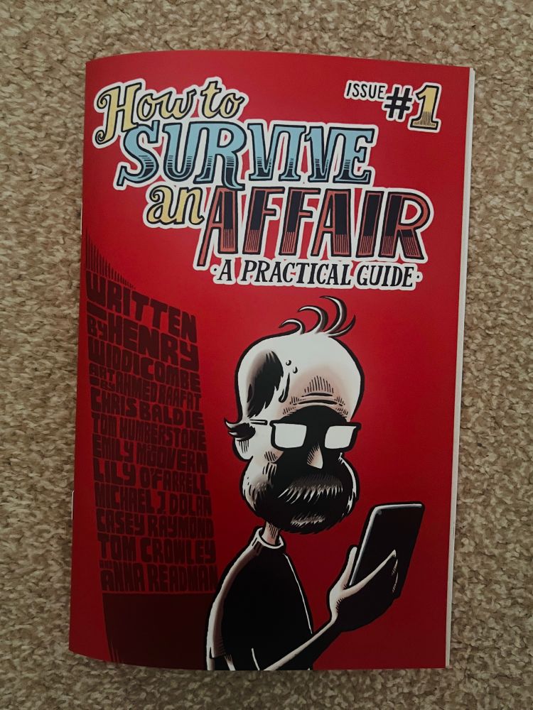 Cover for “How To Survive An Affair: A Practical Guide”
