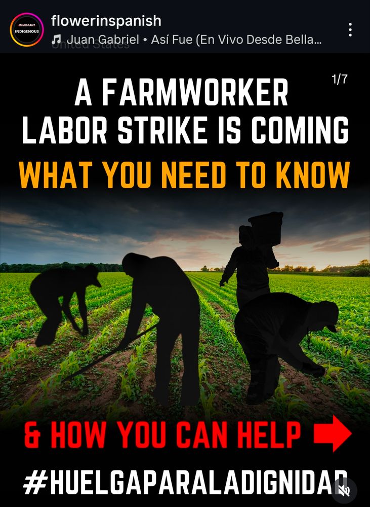 Four farmworkers in a field in silhouette, text: "A Farmworker Labor Strike Is Coming & How You Can Help" 