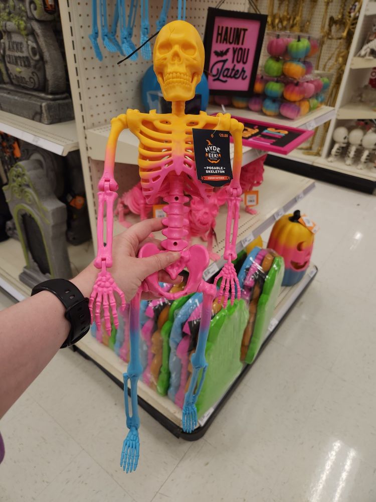 A small skeleton in the colors of the pansexual pride flag.