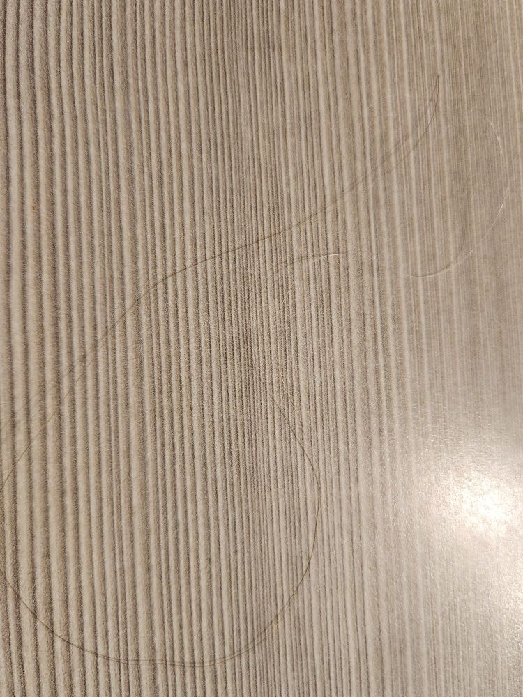 A single hair on a table. It's dark at the root end and white at the tip.