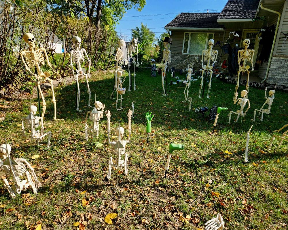 Plastic skeletons in our front yard arranged to resemble a wedding ceremony. Limbs mark the boundaries of the aisle.