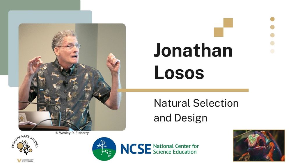 Slide featuring evolutionary biologist Jonathan Losos. On the left is a photo of Losos mid-lecture, gesturing with both hands, wearing a black shirt with tigers and plants. To the right, bold black text reads “Jonathan Losos” above a gold line, with smaller text underneath: “Natural Selection and Design.” Logos for Vanderbilt Evolutionary Studies and the National Center for Science Education appear at the bottom. In the bottom right corner is a photo of a vibrantly colored chameleon. The image is cleanly designed with overlapping green and blue square elements in the top left background for visual depth.