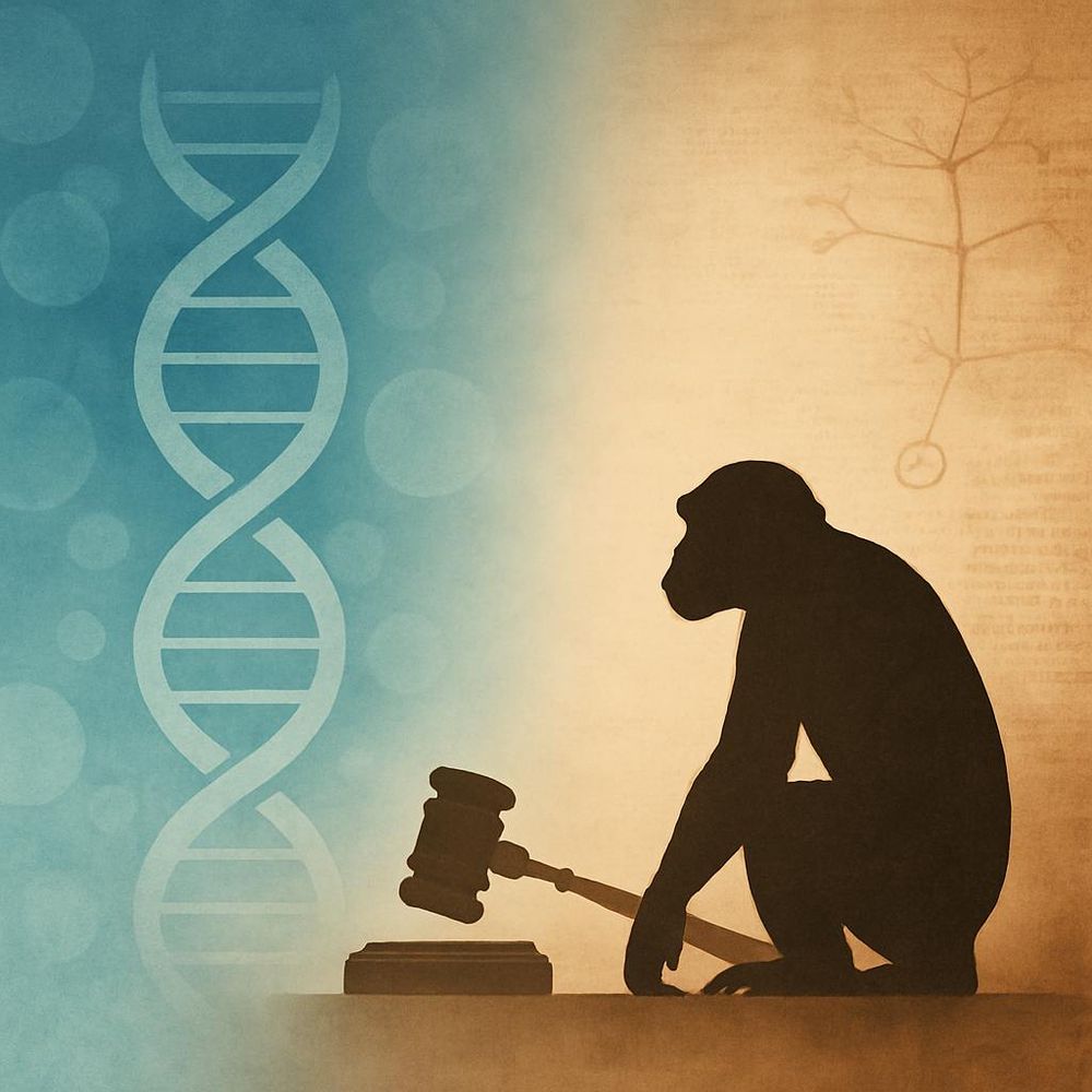 A stylized image split vertically. On the left, a blue background features a large DNA double helix. On the right, a sepia-toned background shows the silhouette of a monkey holding a judge's gavel, facing left. Behind the monkey is a faint sketch of Darwin’s original tree of life diagram. The image evokes themes of evolution, science, and legal debate.