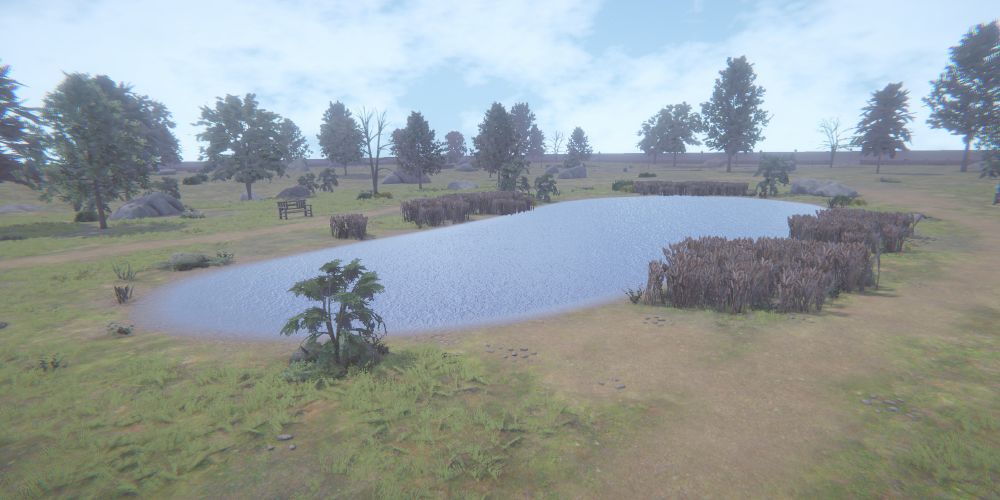 The park level but with grass and small bushes to make the ground more interesting.
