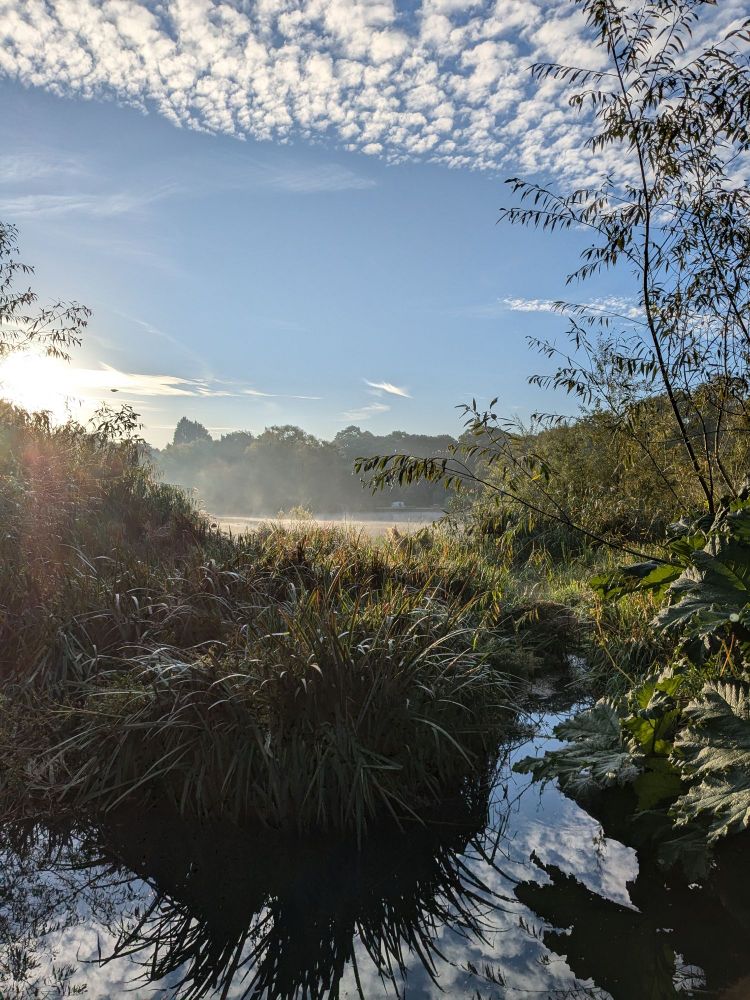 Photo across rushes at the end of a small lake. In the distance there is a mist rising off the lake. Blue sky with a few light clouds.