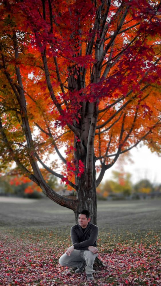 A few weeks ago Socorro and I shared about everyday things that reminded us of our moms. For me it was the auburn glow of fall because this is the season when all the flowers turn crispy and all the trees glow. They match my moms famously warm mane. Also, this is the time of the year when our moms, our life, left us.

Two days ago Socorro, Linda and I found this tall beauty calling us from the park trail we were skipping through.

They are truly everywhere, and also not. Our yearning is the between and after and before. Our souls shed each day the ideas of our former interwoven identity, with the hope of pushing out something different, maybe improved but in the least, consistent.

So go the trees and so go the leaves.