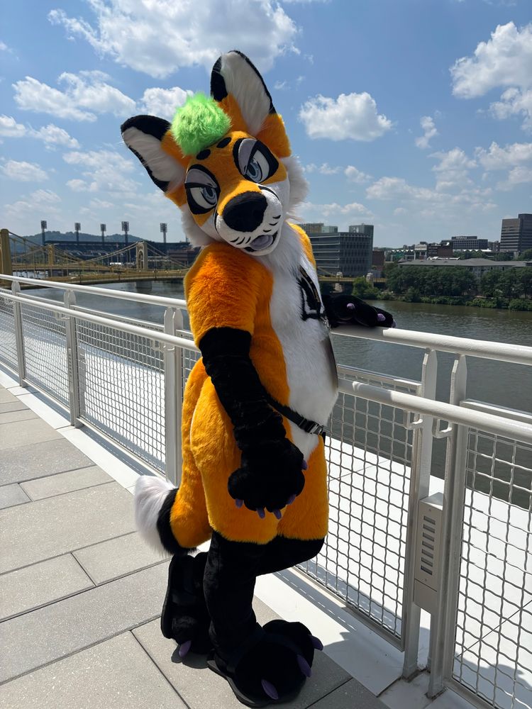 an orange fox fursuiter stands leaning against a railing overlooking a river on a sunny day 