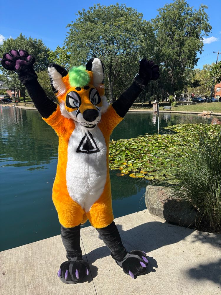 delta fox, an orange fox fursuiter with a black triangle on his white chest standing with his paws in the air in front of a pond with lilly pads. 