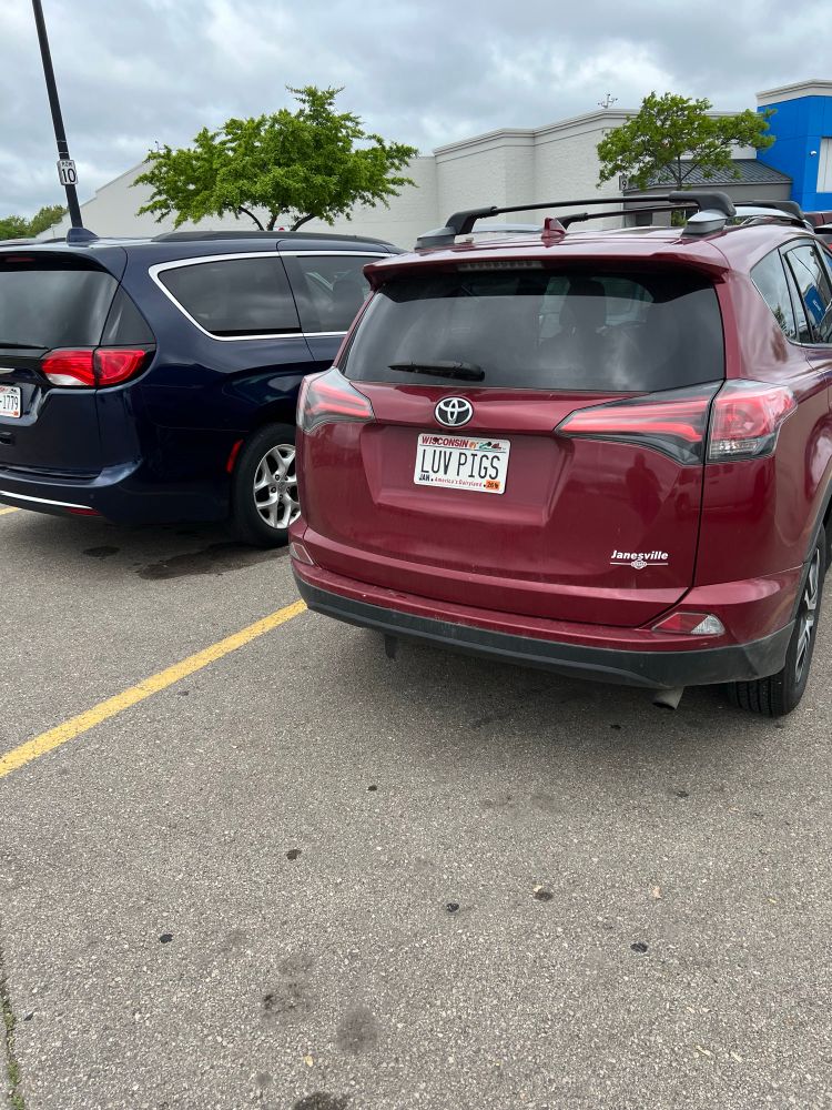 A car with the license plate luv pigs