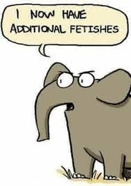 En snabeldrake beklagar sig över att ha ny fetisch.