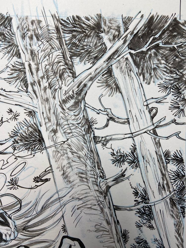 Trees!!!