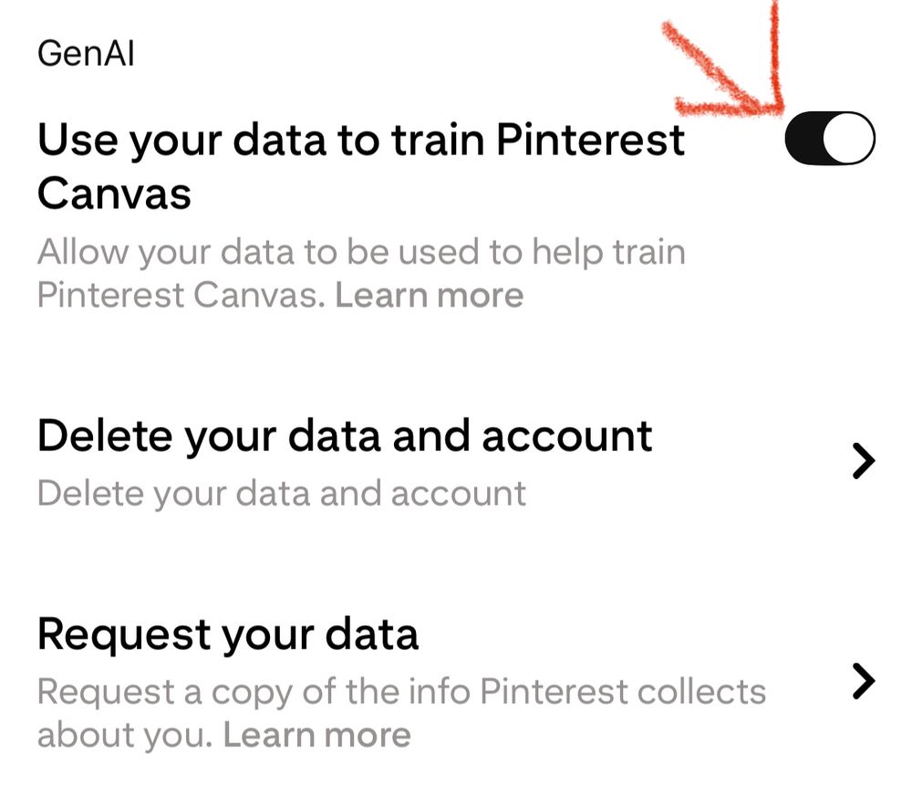 The section of Pinterest user settings where you can toggle genAI training off
