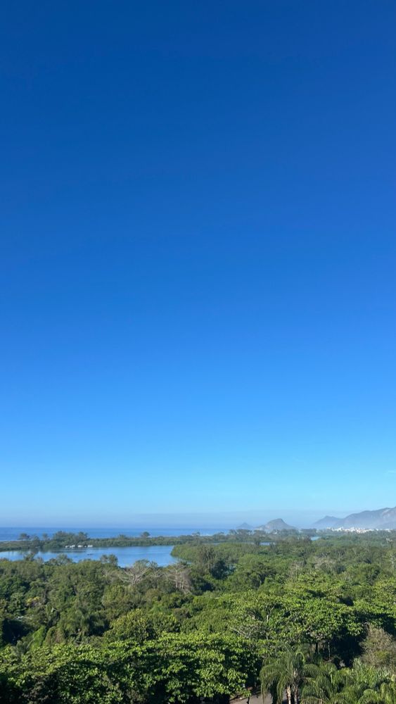 Beautiful landscape over the trees of a forest