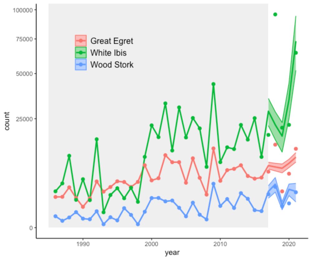 PhD Student Position In Ecological Forecasting Of Everglades Wading Birds