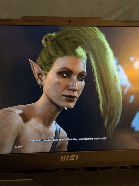 Photo of a wood elf with a long green ponytail and text from the narrator that reads : nothing both animals look fine watching you expectantly .