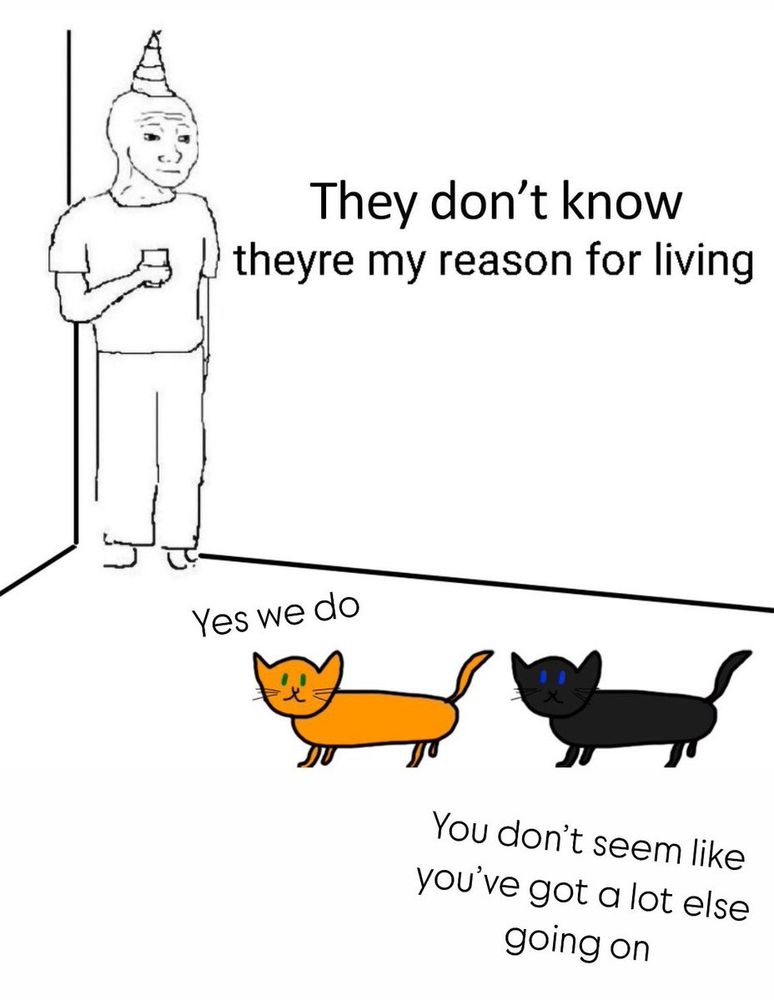 Meme of guy in the corner of room at a party , the party replaced with two cats, one orange and the other black Guy says : they don’t know they’re my reason for living Orange cat : yes we do Black cat : You don't seem like you've got a lot else going on