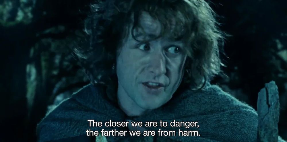 Pippin from LOTR saying “ The closer we are to danger, the farther we are from harm. “