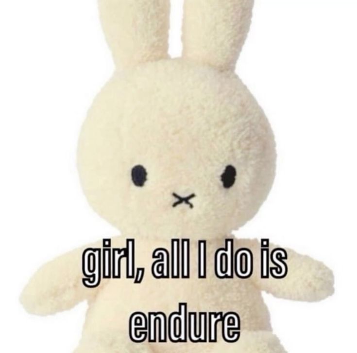 A meme of a bunny plush with the text girl, all i do is endure