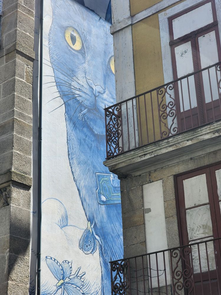 Cat mural on the side of a building. 