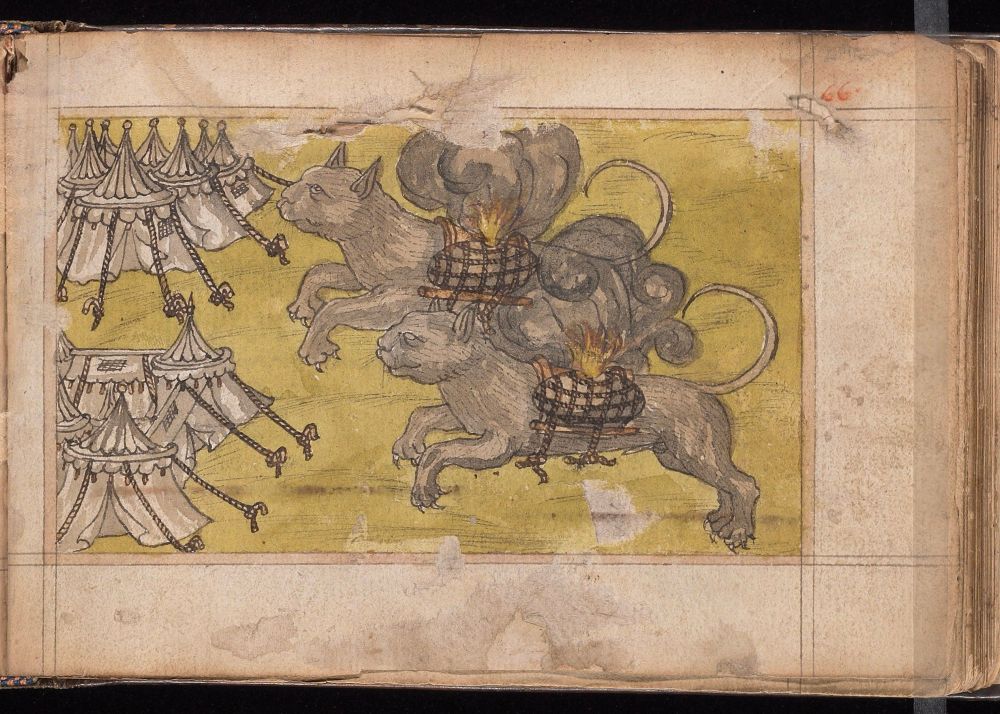 Drawing on a recto page of a book showing two large cats with saddles of fireworks on their midsections running with claws out toward white tents along a yellow background