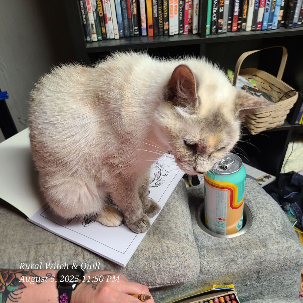 A tortiemese cat sitting on her owner's coloring book.