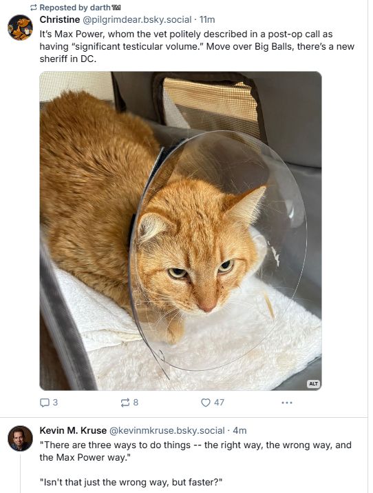 Reposted by Darth
Christine @pilgrimdear.bsky.social 11min
It's Max Power, whom the vet politely described in post-op as having "significant testicular volume." Move over Big Balls, there's a new sheriff in DC.
-Photo of the new sheriff, a cat with big testicles, you can't see the testicles-
Separate post below
Kevin M. Kruse @kevinmkruse.bsky.social 4m
"There are three ways t o do things -- the right way, the wrong way, and the Max Power way."
"Isn't that just the wrong way, but faster?"