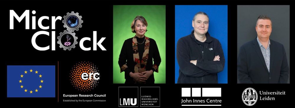 Logo of MicroClock programme, with photos of Martha Merrow, Antony Dodd and Akos Kovacs