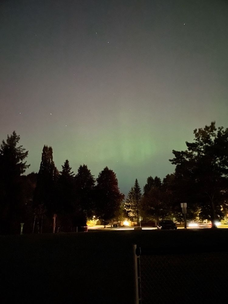 Green sheets of Aurora over some trees
