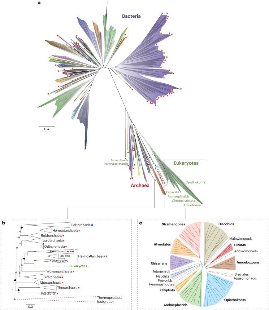 The ever-changing tree of life