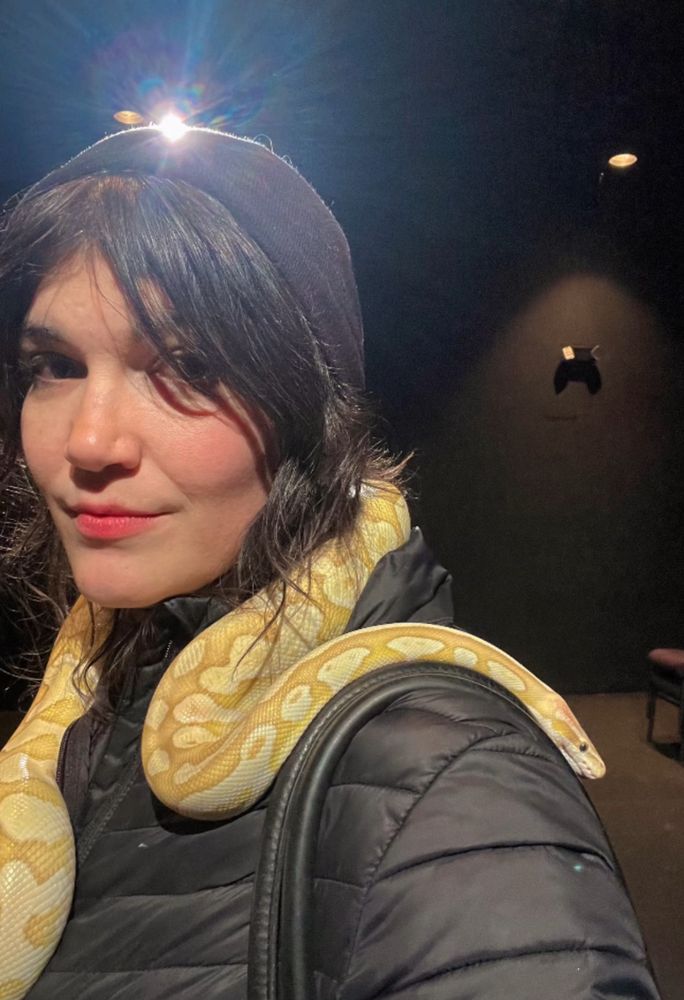 Sabrina, a beautiful ball python, drapes luxuriously over my shoulder and neck