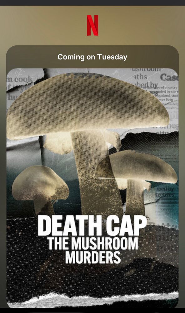 A Netflix email - 
Coming on Tuesday Death Cap - the mushroom murders 
