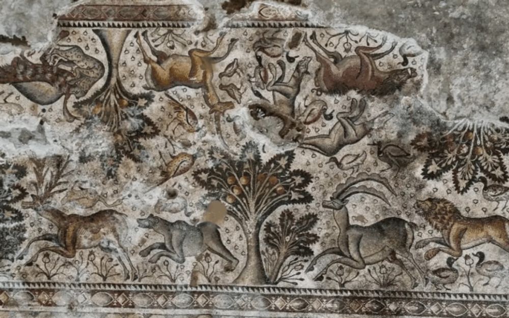 Massive Roman Mosaic Floor Discovered in Türkiye