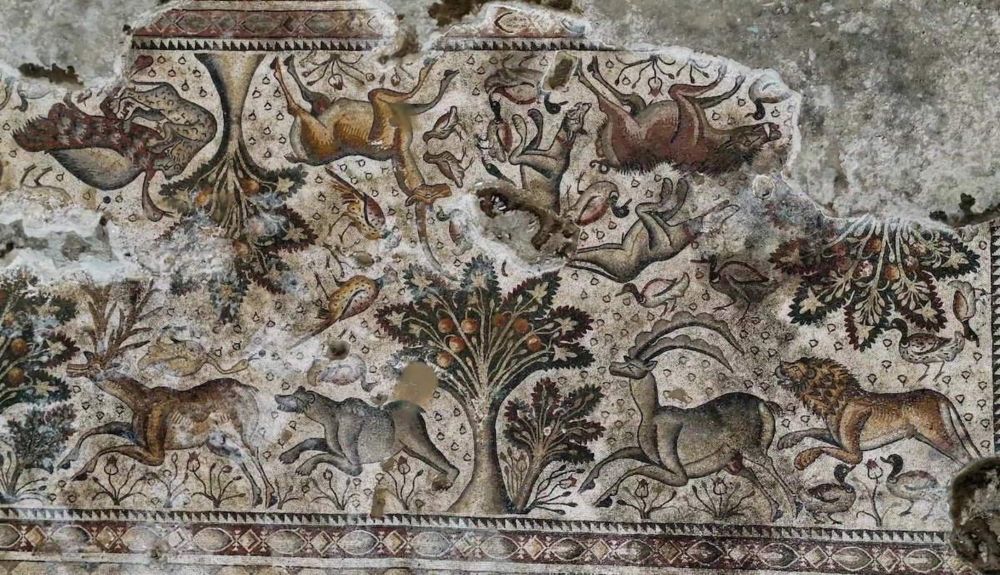 Farmer Discovers Massive Roman Mosaic in Türkiye