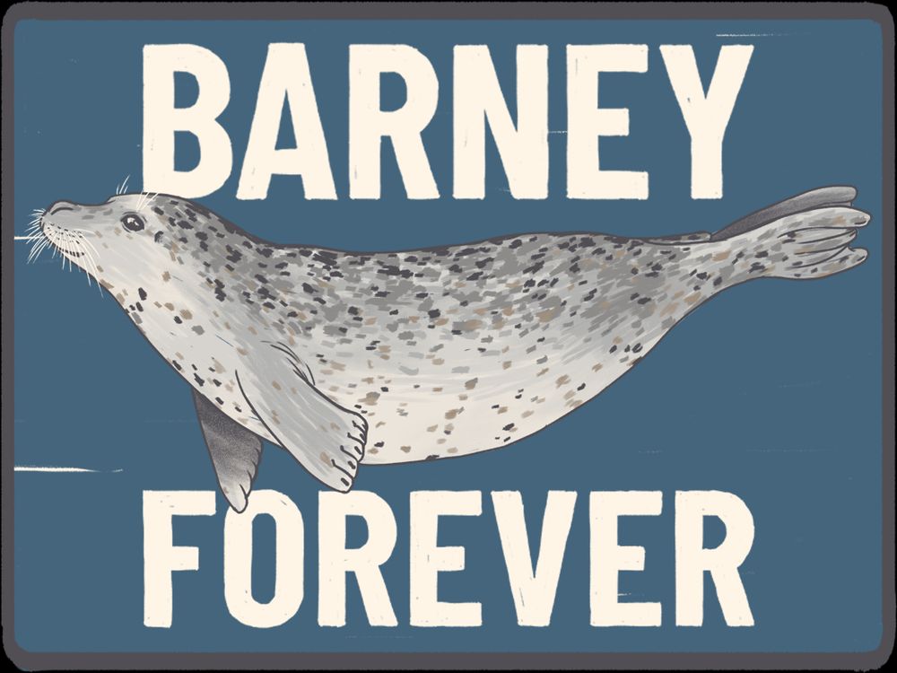 Illustration of Barney the harbor seal with text that reads: "Barney forever." 🎨: Illustration by Graphic Designer Kia