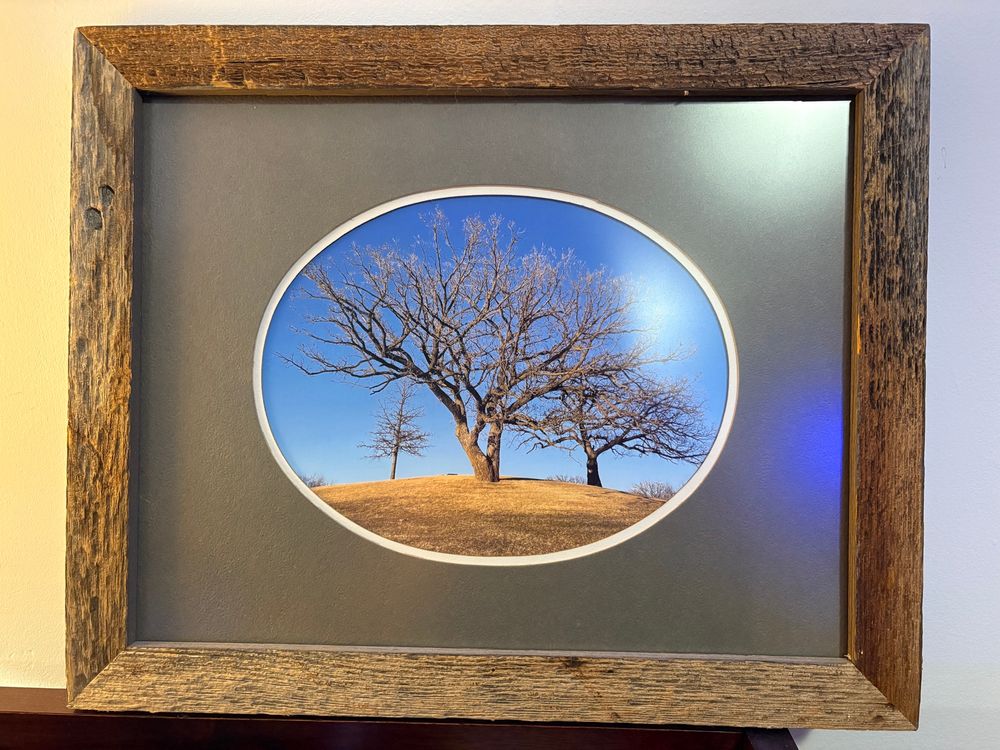 A framed photograph of the Hill of Three Oaks in March. The frame is rustic reclaimed wood, and a gray framing mat with an oval opening compliments the spatial composition of the canopy of the trees and the shape of the hill. 
